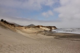 Chicama : une des vagues les plus longues du monde